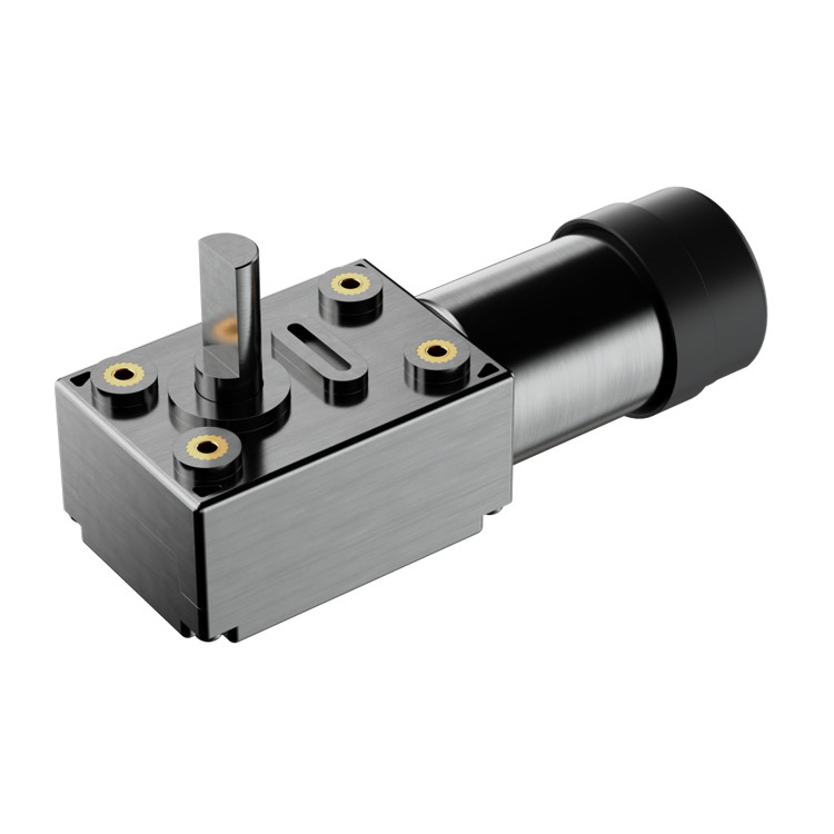 24vdc 0.6w موتور کوچک کرم گیر برای دستگاه های پوشیدنی هوشمند